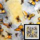 Yellow butterflies 3D art gallery
