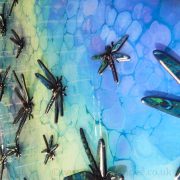 blue turquoise dragonflies