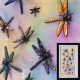 colourful draonfly 3d art framed gallery