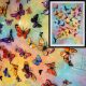 multi coloured butterfly art framed