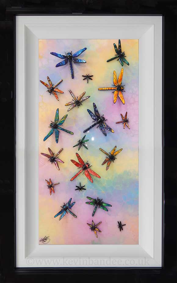 rainbow coloured dragonfly art framed